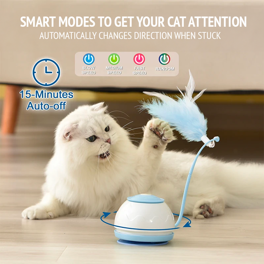 Under blanket mouse hunt - interactive cat toy, teaser for unlimited entertainment